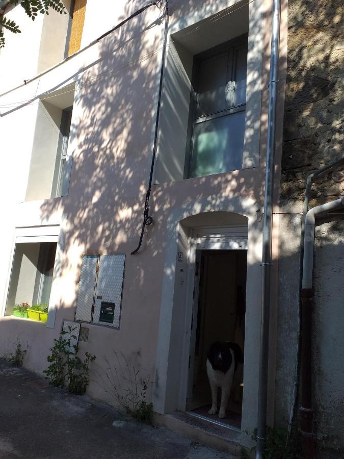 LodèveLa Maison D Annick公寓 外观 照片
